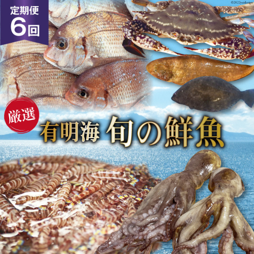BG065【定期便】有明海 旬の鮮魚 漁協おすすめ 海の幸定期便 計6回 518604 - 長崎県島原市