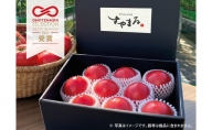長野県産フルーツトマト「さやまる」(1kg)