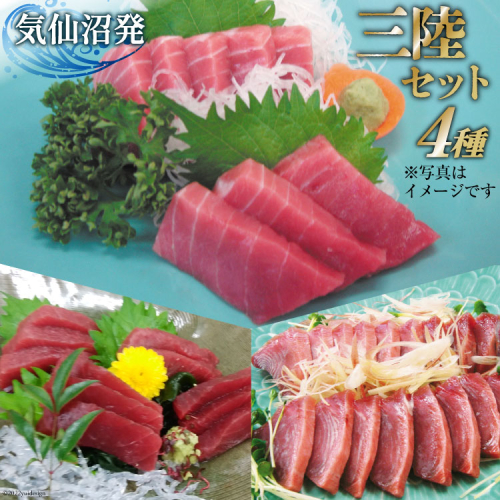 三陸セット 中トロマグロ 150g トロの赤身 150g メバチマグロたたき 200g 特撰トロカツオ 250g 合計750g [村田漁業 宮城県 気仙沼市 20563481] 魚介 魚 刺身 海鮮 中トロ 赤身 鮪 まぐろ メバチマグロ ネギトロ トロカツオ とろ カツオ 518679 - 宮城県気仙沼市