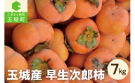 【先行予約】玉城産 早生次郎柿 約7kg 数量限定(クレジット申込限定)