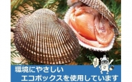☆冬季限定☆[周防大島産]天然!殻付き赤貝 1kg