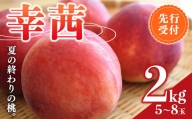 福島の桃 夏の終わりの桃 幸茜 ２kg（5～8玉） 先行予約 フルーツ 果物 もも モモ momo F20C-635