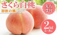 《先行予約》初秋の桃　さくら白桃２kg（5～8玉） F20C-636