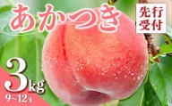 福島の桃 あかつき 3kg（9～12玉） 【枝並農園】 先行予約 フルーツ 果物 もも モモ momo F20C-637