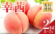 福島県産 幸茜 2kg 2024年9月上旬～2024年9月中旬発送 先行予約 予約 さちあかね 伊達の桃 大玉 固め 桃 もも モモ 果物 くだもの フルーツ 国産 食品 F20C-638