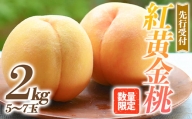 福島の桃 【数量限定】紅黄金桃 2kg（5～7玉） 先行予約 フルーツ 果物 桃 もも モモ momo F20C-641
