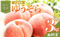 福島県産 ゆうぞら 3kg 2024年8月中旬～2024年9月上旬発送 先行予約 予約 小さめ 固め 伊達の桃 桃 もも モモ 果物 くだもの フルーツ 国産 食品 F20C-642