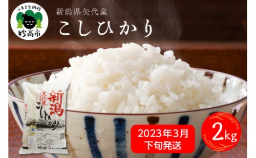 【2023年3月下旬発送】新潟県矢代産コシヒカリ2kg 519714 - 新潟県妙高市