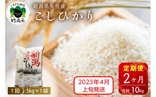 【2023年4月上旬発送】新潟県矢代産コシヒカリ5kg×2回(計10kg) 519995 - 新潟県妙高市