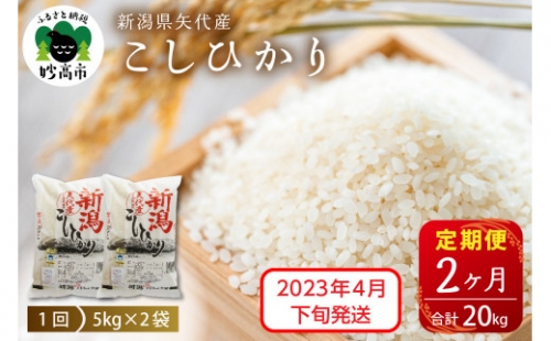 【2023年4月下旬より発送】新潟県矢代産コシヒカリ10kg(5kg×2袋)×2回(計20kg) 520053 - 新潟県妙高市