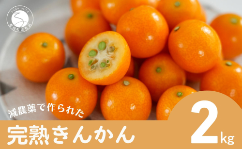 【減農薬栽培！甘くてジューシー！】有田産 完熟金柑 2kg【JA伊万里_きんかん部会】きんかん キンカン 金柑 完熟 甘い 安心 安全 佐賀県産 特別栽培認証 贈り物 ギフト ビタミンC ポリフェノール 12000円 1.2万円 F12-53 52021 - 佐賀県有田町