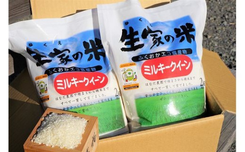 【令和7年産】モッチモチのお米！ミルキークイーン2kg×2袋　計4kg★あんずの里[G4125a] 52100 - 福岡県福津市