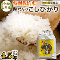 《 特別栽培米 》 令和5年産 精米日出荷 関口さんの「 こしひかり 」 4.5kg ( 玄米時 5kg ) 新鮮 精米 コシヒカリ 米 こめ コメ 特別栽培農産物 認定米