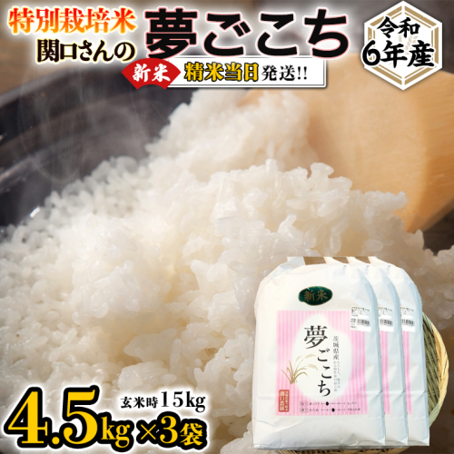 《 特別栽培米 》 令和6年産 精米日出荷 関口さんの「 夢ごこち 」 4.5kg × 3袋 ( 玄米時 15kg ) 新鮮 精米 米 こめ コメ 特別栽培農産物 認定米 新米 521342 - 茨城県牛久市