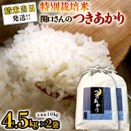 《 特別栽培米 》 令和5年産 精米日出荷 関口さんの「 つきあかり 」 4.5kg × 2袋  ( 玄米時 10kg ) 新鮮 精米 米 こめ コメ 特別栽培農産物 認定米