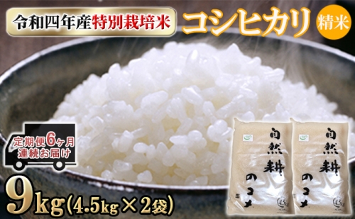 定期便6ヶ月連続お届け　令和四年産特別栽培米コシヒカリ9kg（4.5kg×2袋）精米