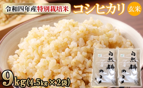 令和四年産特別栽培米コシヒカリ9kg（4.5kg×2袋）玄米