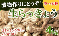 008-41 漬物作りに!生らっきょう(中～大粒)4kg