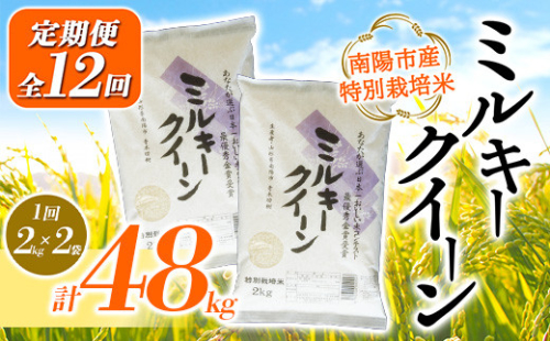 1594 【あおきライスファーム】南陽市産 特別栽培米ミルキークイーン 2kg×2袋《定期便 全12回（計48kg)》 522395 - 山形県南陽市