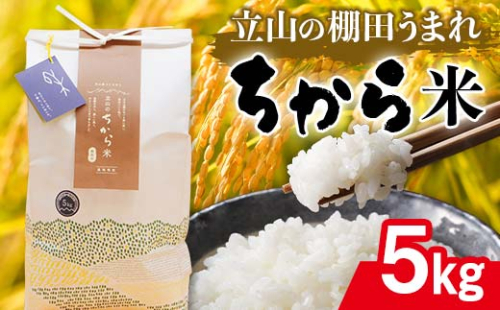 立山のちから米 コシヒカリ 5kg×1袋 計5kg たてやま [55590108] 米 こめ お米 コメ 精米 白米 こしひかり 美味しい 富山県 立山町 F6T-536 52262 - 富山県立山町