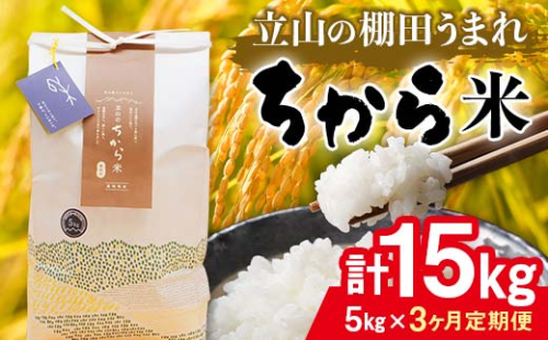 ＜定期便＞立山のちから米 コシヒカリ 各5kg ＜全3回＞ 計15kg 3ヶ月連続 5kg 定期便 定期配送 ちから米 こしひかり 銘柄米 ブランド米 国産 米 お米 日本米 ギフト 贈り物 備蓄 防災 食品 F6T-870 52263 - 富山県立山町