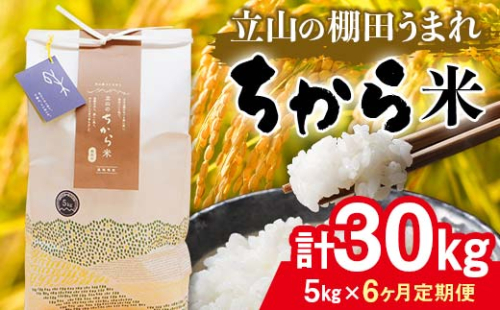 ＜定期便＞立山のちから米 コシヒカリ 各5kg ＜全6回＞ 計30kg 3ヶ月連続 5kg 定期便 定期配送 ちから米 こしひかり 銘柄米 ブランド米 国産 米 お米 日本米 ギフト 贈り物 備蓄 防災 食品 F6T-871 52264 - 富山県立山町