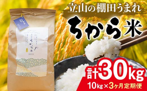＜定期便＞立山のちから米 コシヒカリ 各10kg ＜全3回＞ 計30kg 3ヶ月連続 10kg 定期便 定期配送 ちから米 こしひかり 銘柄米 ブランド米 国産 米 お米 日本米 ギフト 贈り物 備蓄 防災 食品 F6T-872 52266 - 富山県立山町