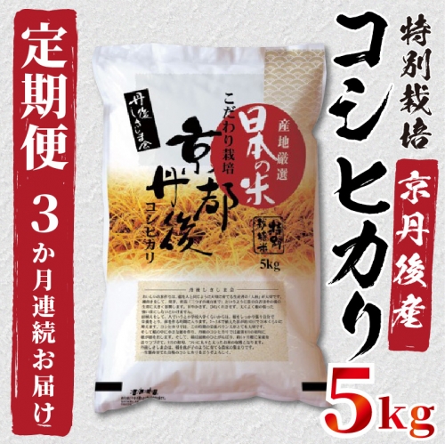 定期便3か月》京都丹後産 特別栽培米コシヒカリ5kg（5kg×1袋） 522675