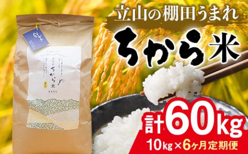 ＜定期便＞立山のちから米 コシヒカリ 各10kg ＜全6回＞ 計60kg 6ヶ月連続 10kg 定期便 定期配送 ちから米 こしひかり 銘柄米 ブランド米 国産 米 お米 日本米 F6T-916 52267 - 富山県立山町
