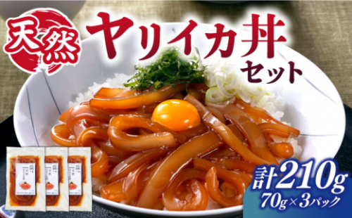天然 ヤリイカ丼 《壱岐市》【若宮水産】 [JAH074] いか イカ 烏賊 ヤリイカ おつまみ  522859 - 長崎県壱岐市