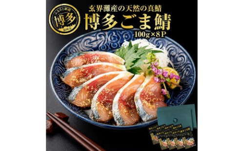 博多名物 ごま鯖 800g (100g×8個) セット 詰め合わせ 長浜市場水揚げ 天然真鯖使用 大容量 小分け 天然 真鯖 長浜市場 水揚げ 刺身 ごまさば 鯖 海鮮 お茶漬け お茶漬けの素 出汁茶漬け 惣菜 ご飯のお供 おつまみ つまみ 酒のつまみ 博多 福岡市