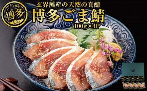 博多名物 ごま鯖 400g（100g×4個） 
