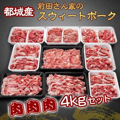 MJ-8913_都城産「前田さん家のスウィートポーク」肉肉肉4kgセット