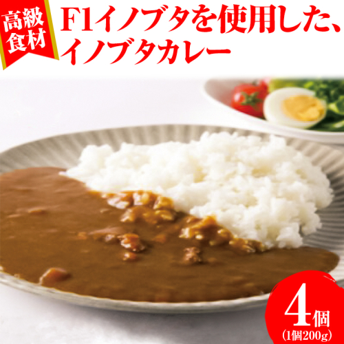 高級食材!F1イノブタを使用した、イノブタカレー(4個)
※着日指定不可 523527 - 和歌山県美浜町