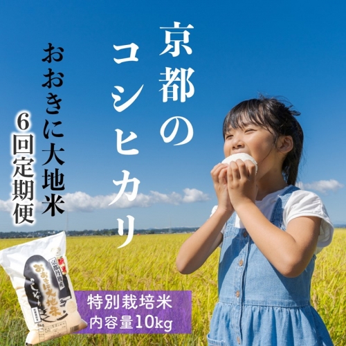 《定期便6か月》特別栽培米コシヒカリ「おおきに大地米」10kg 令和5年産
 523670 - 京都府京丹後市