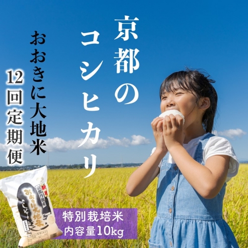 《定期便12か月》特別栽培米コシヒカリ「おおきに大地米」10kg 令和5年産
 523672 - 京都府京丹後市
