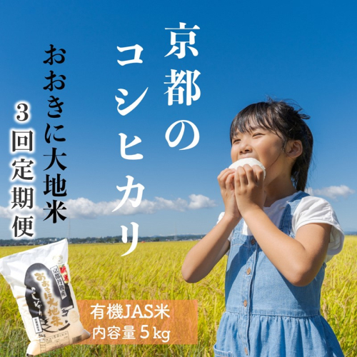 《3ヶ月定期便》有機JAS認証米「おおきに大地米」5kg
 523689 - 京都府京丹後市