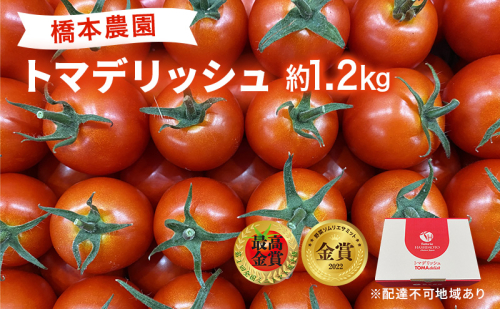  フルーツ トマト ［2026年先行予約］ トマデリッシュ 約1.2kg 橋本農園 岡山 野菜 高糖度 旨味 弾力 果実 甘い サラダ そのまま 岡山県産 緑黄色野菜  523874 - 岡山県赤磐市