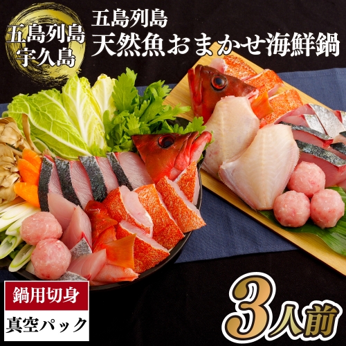 A200 五島列島天然魚おまかせ海鮮鍋(約3人前)