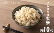 【令和5年度産】コシヒカリ 玄米 10kg