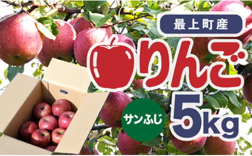005-035 【期間限定出荷】「訳あり」最上町産りんご「サンふじ」5㎏ 524777 - 山形県最上町