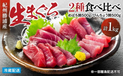 【12月末まで限定寄付額】【年内発送可】生まぐろ２種食べ比べセット　【一部離島配送不可】 524829 - 和歌山県那智勝浦町