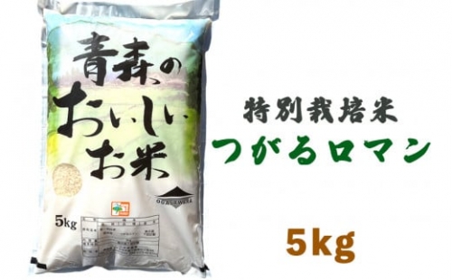 令和4年産 新米 特別栽培米 つがるロマン 5kg｜青森県 つがる市産米 津軽 精米 白米 [0175]