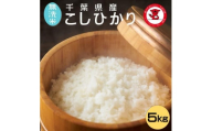 【無洗米】コシヒカリ 5kg 千葉県産こしひかり