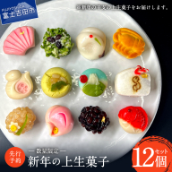 【先行予約・数量限定】新年の上生菓子 12個セット 【年内配送】 【2025年12月25日発送予定】