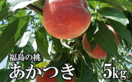 福島市の北部、飯坂町東湯野産。 東湯野は土壌改良材にも使用されるミネラル分を豊富に含んだ土地で、味の良さはすこぶる定評がある！※桃は非常にデリケートな果物です。輸送時の痛みを防ぐため、硬めの状態で発送