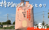 ＜令和4年産＞特別栽培米　コシヒカリ　5kg　【11246-0197】