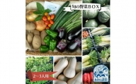 毎日の食卓に季節の野菜を☆「あおぞら農園」の旬の野菜BOX（２～３人用）