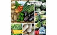 毎日の食卓に季節の野菜を☆「あおぞら農園」の旬の野菜BOX（３～５人用）