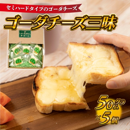 【島根県産】ゴーダチーズ三昧　（50g×5個）